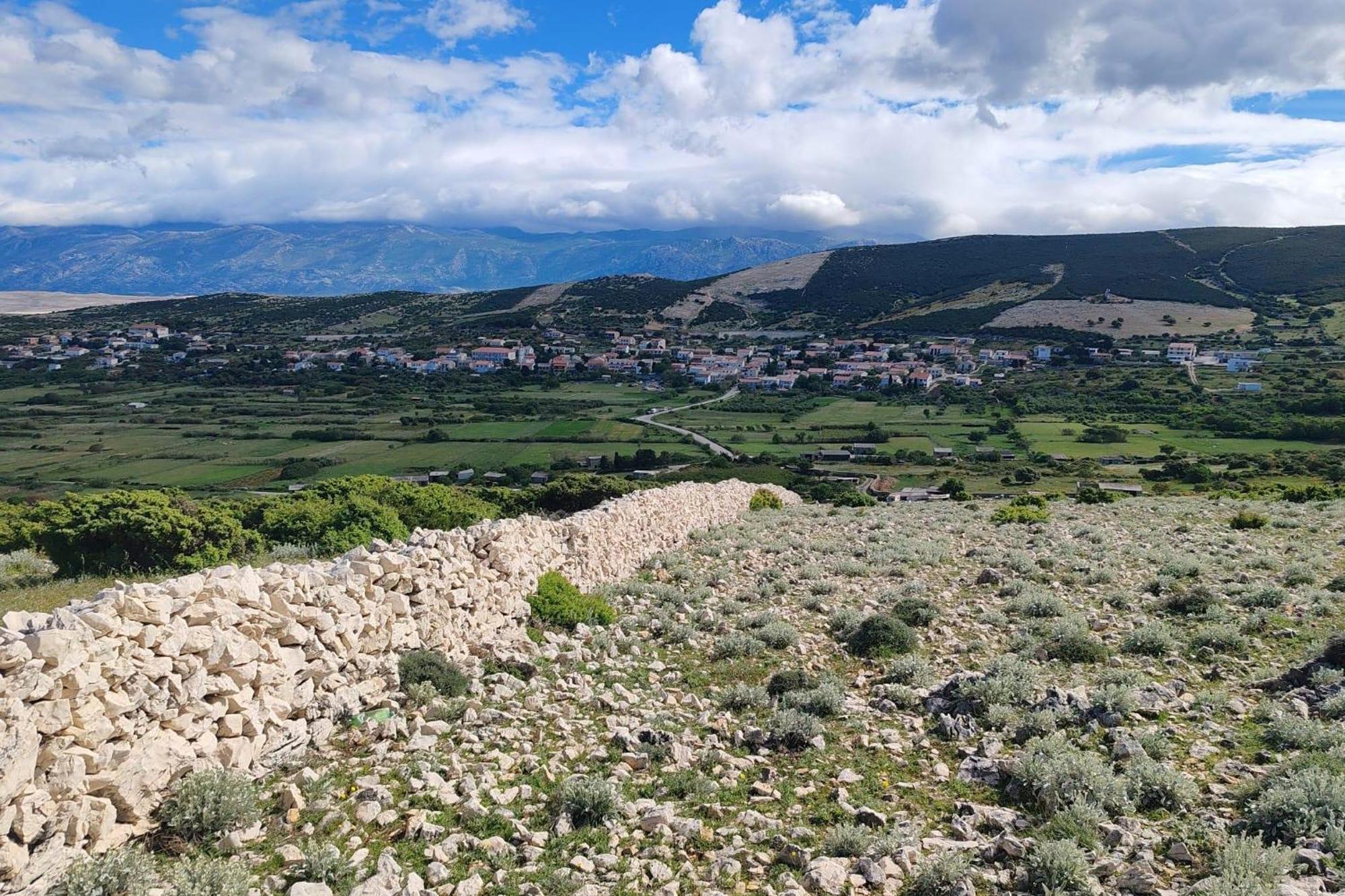 Apartment With A Parking Space Kolan, Pag - 16482